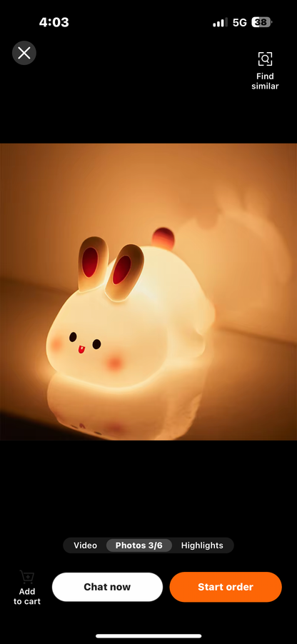 Rabbit Touch Lamp