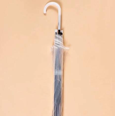 Transparent Umbrella