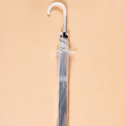 Transparent Umbrella